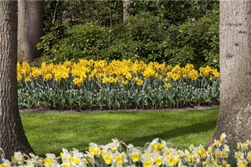 Das richtige Blumenbeet für den eigenen Garten