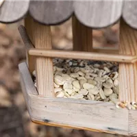 Rückzugsmöglichkeiten und zusätzliches Futter
