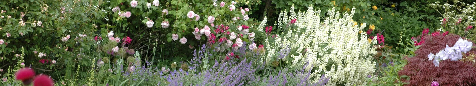 Aller Anfang ist (nicht) schwer - der erste eigene Garten