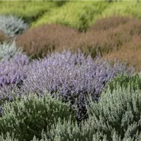 Gestaltung mit kleinen Tricks