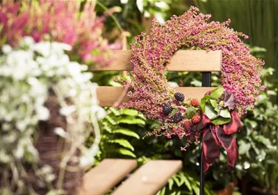 Orientalisches Flair trifft auf Heide Orientalisches Flair trifft auf Heide