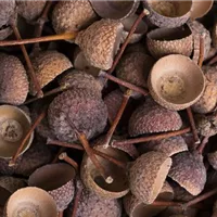 Für den letzten Pfiff sorgen