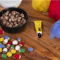 Kleine bunte Eicheln