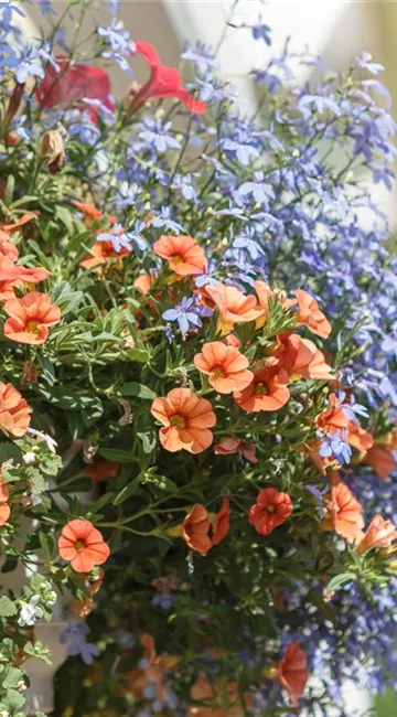 Urban Gardening – Blumenampel aus Konservendosen