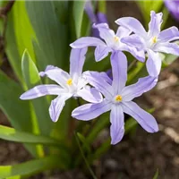 Bunte Geheimtipps vor der Tür