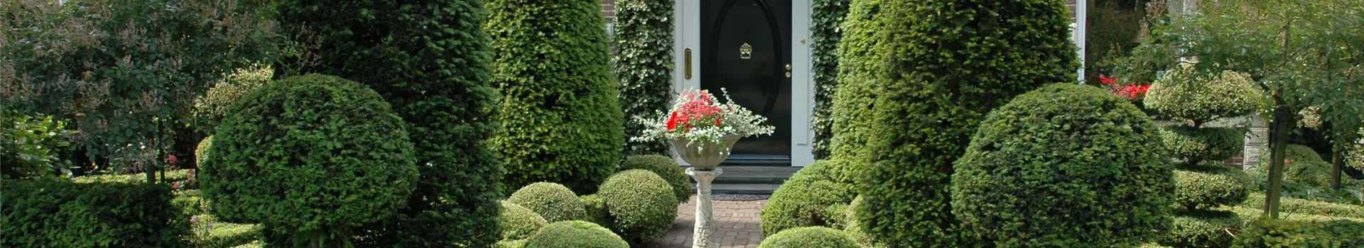 Top in Form – Büsche regelmäßig schneiden