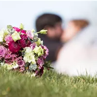 Welche Blumen sollen es sein?
