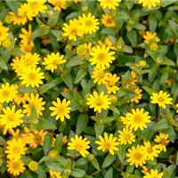 Auf die Größe kommt es an