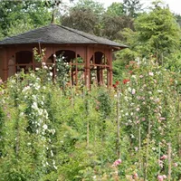 Eine solide Grundlage ist das A und O