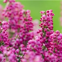 Für den Feinschliff sorgen Für den Feinschliff sorgen