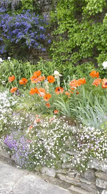 Auf dem Weg zum eigenen Staudengarten – So einfach geht’s!