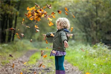 Äußerst wertvoll und vielseitig verwendbar – Laub im Garten Äußerst wertvoll und vielseitig verwendbar – Laub im Garten