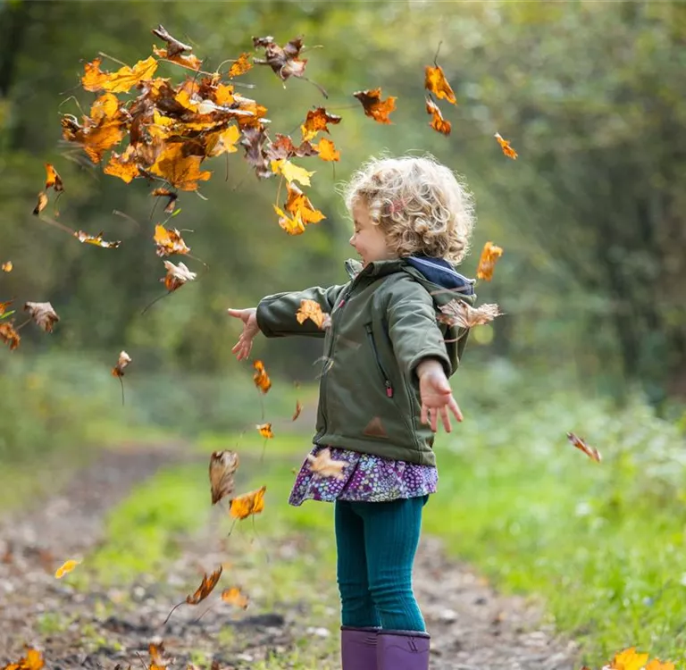 Äußerst wertvoll und vielseitig verwendbar – Laub im Garten Äußerst wertvoll und vielseitig verwendbar – Laub im Garten