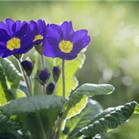 Fadenreiche Angelegenheit