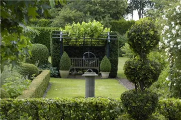 Formgehölze im Garten – So bleibt alles top in Form