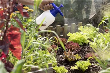 Mit dem richtigen Dünger bleiben Pflanzen im Garten auf Zack