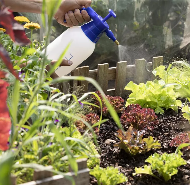 Mit dem richtigen Dünger bleiben Pflanzen im Garten auf Zack