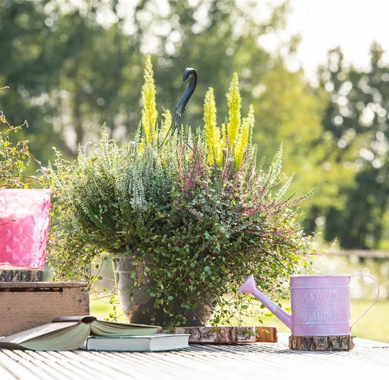 Pflanzgefäße für die Terrasse bringen die Pflanzen groß raus