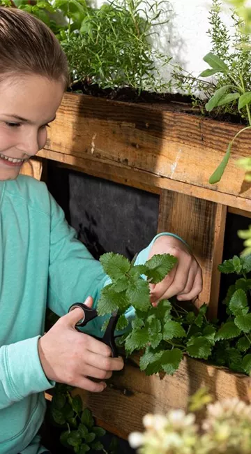 Pflanzwände und Vertikalgärten – Gärtnern auf kleinstem Raum Pflanzwände und Vertikalgärten – Gärtnern auf kleinstem Raum