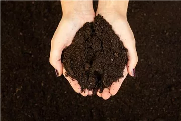 Eine gute Bodenvorbereitung im Nutzgarten ist unerlässlich