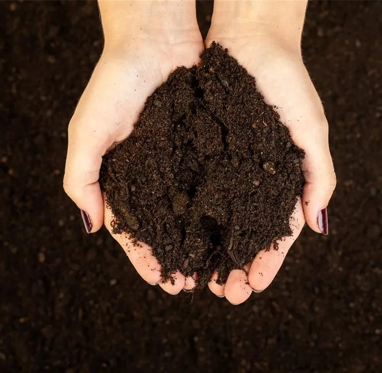 Eine gute Bodenvorbereitung im Nutzgarten ist unerlässlich