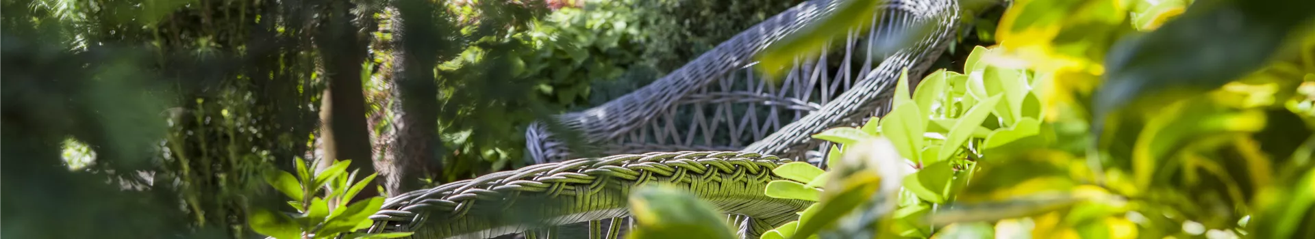 Die grüne Oase: die Terrasse in einen Garten verwandeln