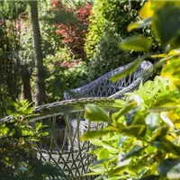 Den Garten entdecken