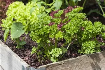 Das DIY-Hochbeet: nützlich, modern und super praktisch