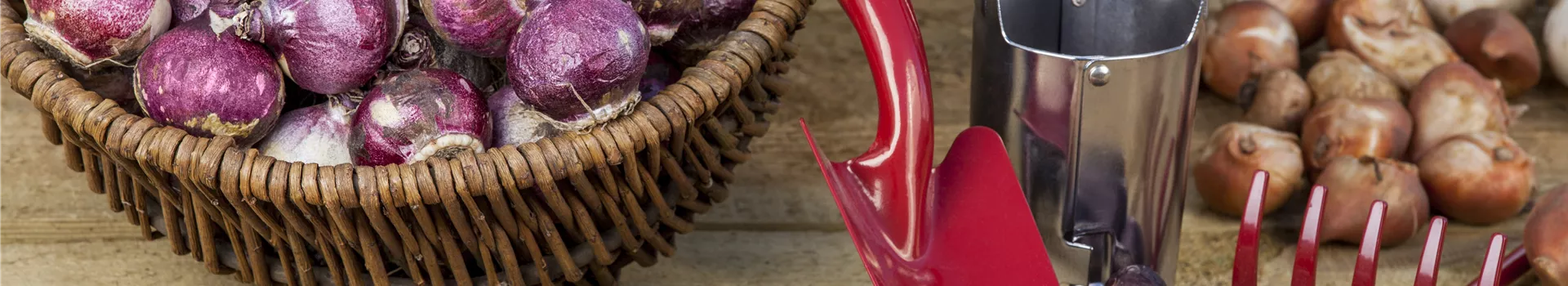 Gartenzubehör – kleine Helfer bei der täglichen Gartenarbeit 