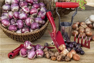 Gartenzubehör – kleine Helfer bei der täglichen Gartenarbeit 