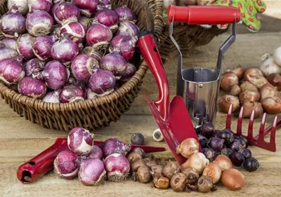 Gartenzubehör – kleine Helfer bei der täglichen Gartenarbeit 