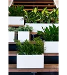 Natural - Balcony Natural - Balcony