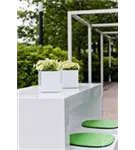 Natural - Balcony Natural - Balcony