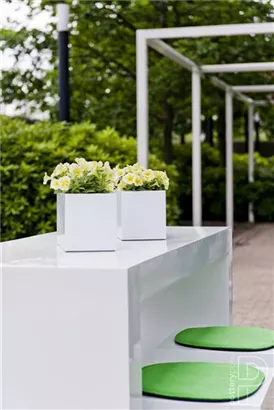 Natural - Balcony Natural - Balcony