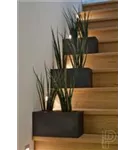 Natural - Balcony Natural - Balcony