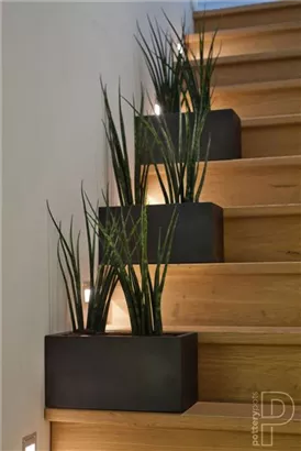 Natural - Balcony Natural - Balcony