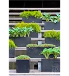 Natural - Balcony Natural - Balcony