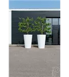 Natural - Belle Natural - Belle