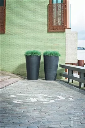 Natural - Belle Natural - Belle