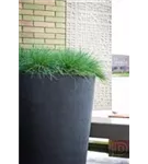 Natural - Belle Natural - Belle