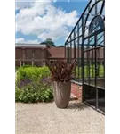 Cement - Ben Cement - Ben