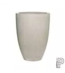 Cement - Ben