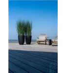 Cement - Ben Cement - Ben