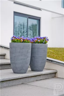 Cement - Ben Cement - Ben