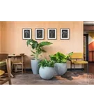 Cement - Ben Cement - Ben