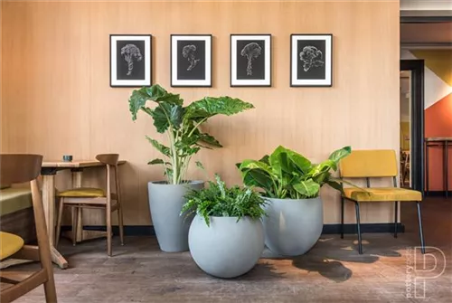 Cement - Ben Cement - Ben