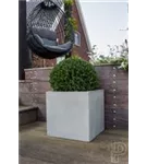 Natural - Block Natural - Block