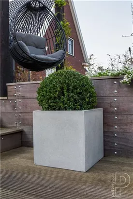 Natural - Block Natural - Block