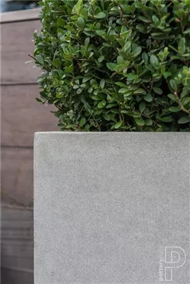 Natural - Block