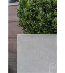 Natural - Block